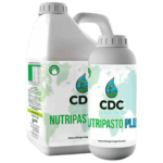 nutripasto