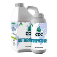 nutripasto_n3